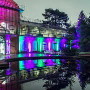 Fotografin Nicole Gieseler - Winterlichter Palmentgarten