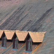 Rüsselsheim - Fotograf Albert Wenz
