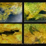 Fotowalk Bergpark Eppstein - Fotografin Anne Jeuk