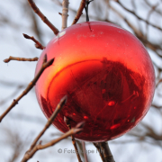 Fotowalk Mainz-Kastel - Fotograf Albert Wenz