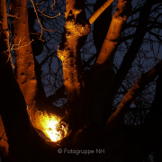 Fotowalk Mainz-Kastel - Fotografin Bettina Jäger