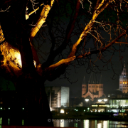 Fotowalk Mainz-Kastel - Fotograf Henry Mann