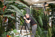 Making Of Schmetterlingspark Schloss Sayn