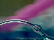 Monatsthema Spiel mit Glas und Wasser - Fotografin Anne Jeuk