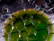 Monatsthema Spiel mit Glas und Wasser - Fotografin Anne Jeuk