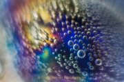 Monatsthema Spiel mit Glas und Wasser - Fotografin Jutta R. Buchwald