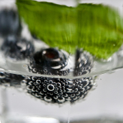 Monatsthema Spiel mit Glas und Wasser - Fotograf Henry Mann
