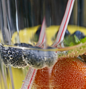 Monatsthema Spiel mit Glas und Wasser - Fotograf Henry Mann