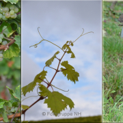 Triptychon - Fotograf Christoph Fuhrmann
