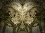 Bäume - Fotograf Joachim Clemens