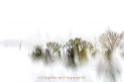 Experimentell - Fotografin Jutta R. Buchwald