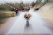 Experimentell - Fotograf Werner Ch. Buchwald