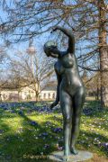 Schmetterlinge und Blüten - Fotograf Ahmed Touil