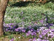 Schmetterlinge und Blüten - Fotografin Britta Groll