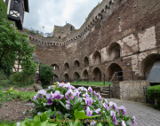 Historisches - Schönburg Oberwesel - Fotografin Anne Jeuk