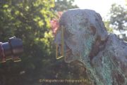 Perspektiven - Darmstadt Rosenhöhe - Fotografin Christa Zimmermann