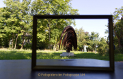Perspektiven - Darmstadt Rosenhöhe - Fotografin Christa Zimmermann