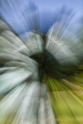 Perspektiven - Darmstadt Rosenhöhe - Fotograf Jörg Zimmermann
