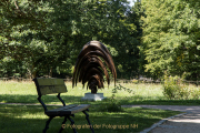 Perspektiven - Darmstadt Rosenhöhe - Fotograf Werner Ch. Buchwald