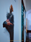 Ansichten - Museum WI und RMCC - Fotografin Nicole Gieseler