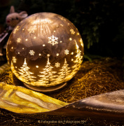 Wiesbadener Waldweihnacht - Fotografin Anne Jeuk