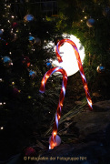 Wiesbadener Waldweihnacht - Fotografin Anne Jeuk