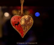 Wiesbadener Waldweihnacht - Fotograf Ahmed Touil