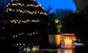Wiesbadener Waldweihnacht - Fotograf Ahmed Touil