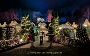 Wiesbadener Waldweihnacht - Fotografin Christa Zimmermann