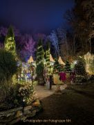 Wiesbadener Waldweihnacht - Fotografin Christa Zimmermann
