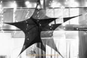 Wiesbadener Waldweihnacht - Fotografin Jutta R. Buchwald