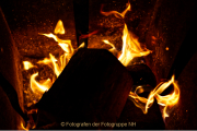 Wiesbadener Waldweihnacht - Fotograf Jörg Zimmermann