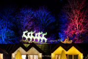 Wiesbadener Waldweihnacht - Fotograf Jörg Zimmermann