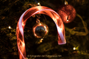 Wiesbadener Waldweihnacht - Fotograf Werner Ch. Buchwald