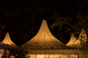 Wiesbadener Waldweihnacht - Fotograf Werner Ch. Buchwald