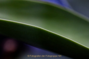 08_AnneJ_IMG_4254