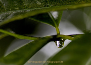 09_AnneJ_IMG_4289