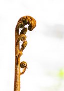 12_AnneJ_IMG_4351