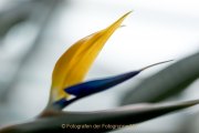 13_JRB_02_IMG_7189_kl