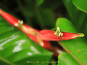 24_NahdranNicole_-11