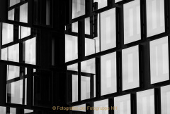03_AnneJ_IMG_05