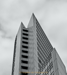 IMG_6133