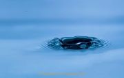 Wasser - vom Tropfen bis zum Ozean - Fotograf Ahmed Touil