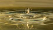 Wasser - vom Tropfen bis zum Ozean - Fotograf Ahmed Touil