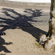 Fotowalk Bad Homburg - Fotograf Henry Mann