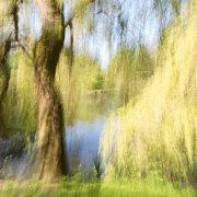 Fotowalk Bad Homburg - Fotografin Jutta R. Buchwald
