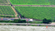 Fotowalk Bingen und Kloster Eberbach - Fotograf Albert Wenz