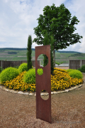 Fotowalk Bingen und Kloster Eberbach - Fotograf Albert Wenz