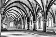 Fotowalk Bingen und Kloster Eberbach - Fotografin Jutta R. Buchwald