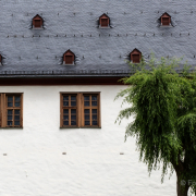 Fotowalk Bingen und Kloster Eberbach - Fotografin Jutta R. Buchwald